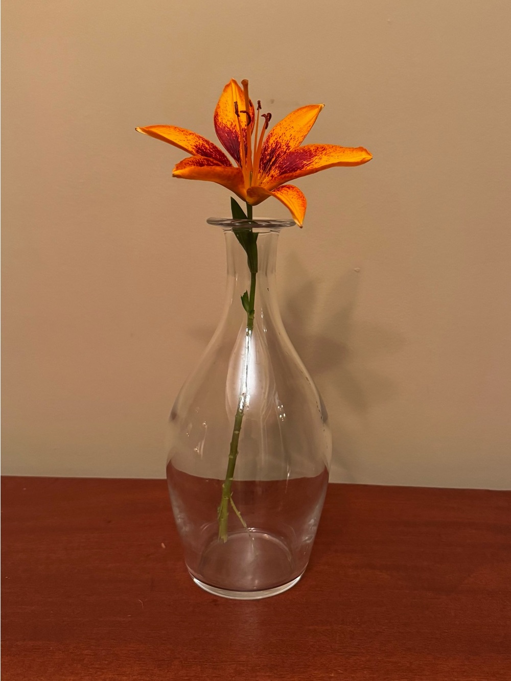 Baccarat for Tiffany & Co. Crystal Bud Vase Signed France 11"